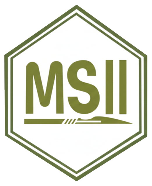 MSII Logo